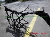 Honda_MBX_50_80_Teile_Ersatzteile_spare-parts-60.jpg