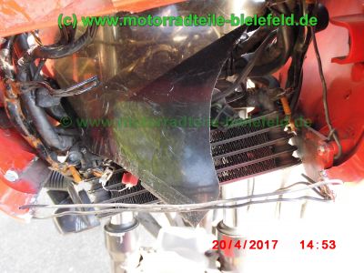 Honda_CBX750F_RC17_rot-schwarz_Sturz_-_original_Auspuff_HMMJOE_Motor_Vergaser_Anlasser-18.jpg