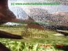 Suzuki_GZ125_Marauder_Chopper_silber-grau_Koffer-System_GIVI_Custom_Collection_-_Teile_Ersatzteile_parts_spares_spare-parts_ricambi_repuestos_wie_GN125_GZ250-54.jpg