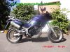 Kawasaki_KLE500_LE500A_Enduro_Super-Moto_SuMo-Umbau_Motor-Tuning_60PS_-_Teile_Ersatzteile_parts_spares_spare-parts_ricambi_repuestos_wie_GPZ500_KLR250_KLR600_KLR650_Tengai_-47.jpg