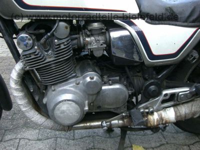 CIMG5902.jpg