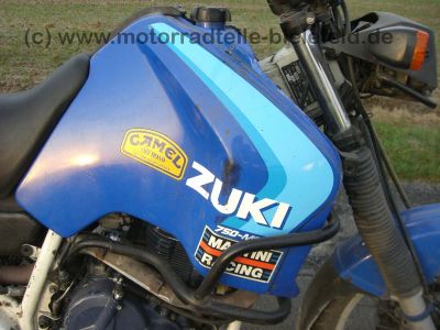 Suzuki_DR_750_S_BIG_Sturzbgel_Hauptstnder_Sebring_Krauser_Gepcktrger_SR41B_76.jpg