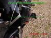 Yamaha_FZR1000_3GM_EXUP_schwarz-lila_144PS_2Hd_HU_06-2019_USD-Gabel_gepflegt_unverbastelt_–_wie_3LE_3LF_3LK-29.jpg