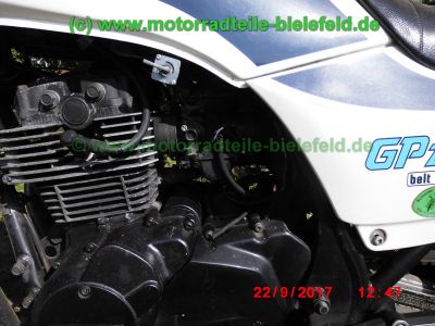 Kawasaki_GPZ305_weiss-blau_EX305B_Halbschale_Belt-Drive_Riemen-Antrieb_original_Auspuff_2-2_KHI_K_070_–_wie_ER_EX_Z_250_305_A_B_GP-21.jpg