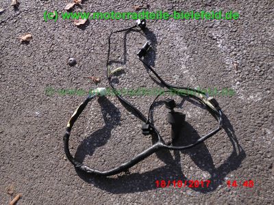 Yamaha_FZS600_Fazer_RJ02_rot_zerlegt_-_Ersatzteile_Teile_parts_spares_spare-parts_ricambi_repuestos_wie_FZ1_FZ6_FZR600R_YZF600R-246.jpg