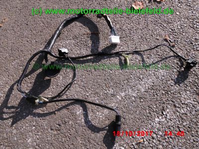 Yamaha_FZS600_Fazer_RJ02_rot_zerlegt_-_Ersatzteile_Teile_parts_spares_spare-parts_ricambi_repuestos_wie_FZ1_FZ6_FZR600R_YZF600R-247.jpg