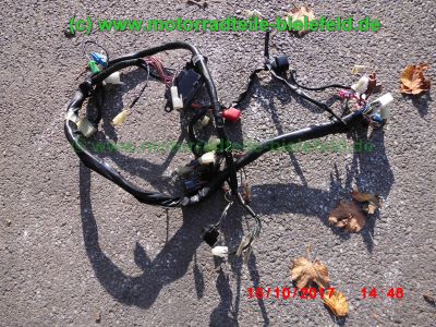 Yamaha_FZS600_Fazer_RJ02_rot_zerlegt_-_Ersatzteile_Teile_parts_spares_spare-parts_ricambi_repuestos_wie_FZ1_FZ6_FZR600R_YZF600R-249.jpg