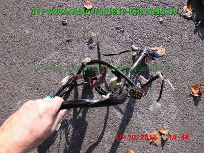 Yamaha_FZS600_Fazer_RJ02_rot_zerlegt_-_Ersatzteile_Teile_parts_spares_spare-parts_ricambi_repuestos_wie_FZ1_FZ6_FZR600R_YZF600R-250.jpg