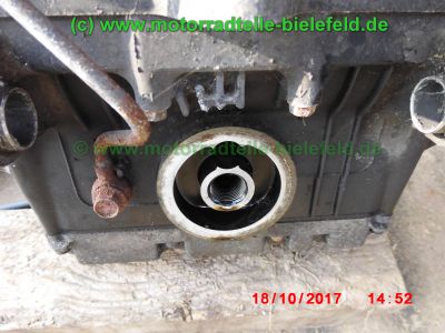 Yamaha_FZS600_Fazer_RJ02_rot_zerlegt_-_Ersatzteile_Teile_parts_spares_spare-parts_ricambi_repuestos_wie_FZ1_FZ6_FZR600R_YZF600R-279.jpg