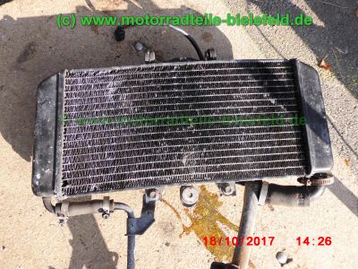 Yamaha_FZS600_Fazer_RJ02_rot_zerlegt_-_Ersatzteile_Teile_parts_spares_spare-parts_ricambi_repuestos_wie_FZ1_FZ6_FZR600R_YZF600R-51.jpg
