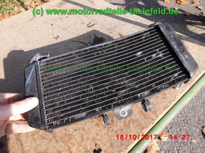 Yamaha_FZS600_Fazer_RJ02_rot_zerlegt_-_Ersatzteile_Teile_parts_spares_spare-parts_ricambi_repuestos_wie_FZ1_FZ6_FZR600R_YZF600R-57.jpg