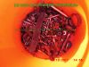 Honda_NX650_Dominator_RD08_zerlegt_blau-grau_RFVC_Motor_-_Ersatzteile_Teile_parts_spares_spare-parts_ricambi_repuestos_wie_RD02_-91.jpg
