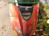 Yamaha_YP125_Majesty_SE02_rot_-_Ersatzteile_Teile_parts_spares_spare-parts_ricambi_repuestos_wie_Cygnus_Maxster_SE03_SE05_MBK_Skyliner_125_SE02_SE06_Flame_Thunder_-42.jpg