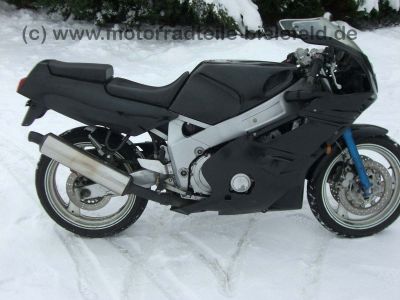 Yamaha_FZR_600_FZR600_3HE_GFK_Verkleidung_Rommerskirchen_Stahlflex_11_CIMG0551.jpg