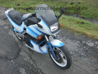 Kawasaki_GPZ_500_Airbrush_blauweiss_GPZ_500_S_500S_GPZ500S_EX_500_EX500_A_EX500A_no_EN_KLE_31.jpg