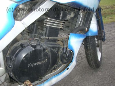 Kawasaki_GPZ_500_Airbrush_blauweiss_GPZ_500_S_500S_GPZ500S_EX_500_EX500_A_EX500A_no_EN_KLE_44.jpg