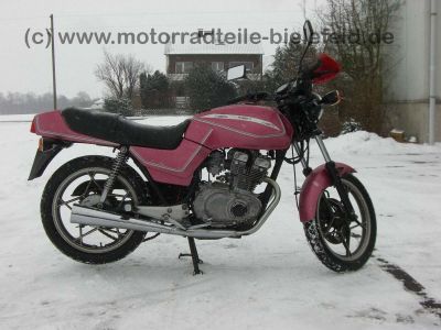 Suzuki_GSX_250_GSX250_E_250E_GJ53B_mit_GS25X_Motor_pink_1.jpg