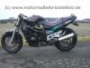 Suzuki_GSX_600_750_GSX600_GN72B_GSX750_GSX600_F_600F_GSX600F_LILA_7.jpg