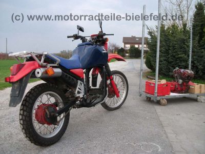 Honda_XLV750R_RD01_blauer_Tank_XLV_VT_750_XLV750_VT750_R_C_750R_31.jpg