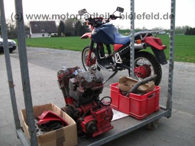 Honda_XLV750R_RD01_blauer_Tank_XLV_VT_750_XLV750_VT750_R_C_750R_62.jpg