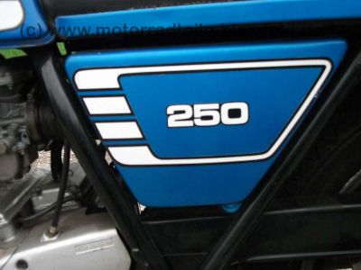 Yamaha_XS250_blau_Typ_1U5_XS_RD_250_360_400_XS360_XS400_SE_12.jpg