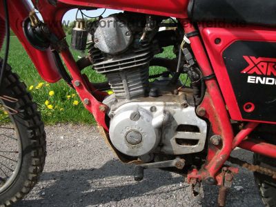 Honda_XR125_Enduro_abgepolstert_L125S_L_XL_XR_125_200_250_L125_XL125_XL200_XL250_S_R_125S_125R_15.jpg