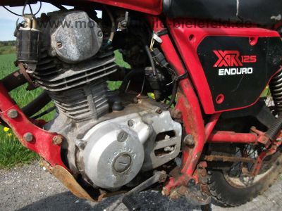 Honda_XR125_Enduro_abgepolstert_L125S_L_XL_XR_125_200_250_L125_XL125_XL200_XL250_S_R_125S_125R_32.jpg