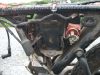 Honda_CB50J_orange_teilzerlegt_Originalpapiere_CB_CY_XL_Z_ST_50_DAX_Monkey_CY50_XL50_Z50_J_E_50E_53.jpg