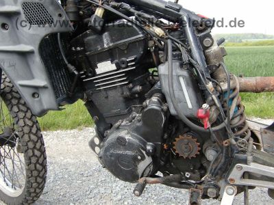 Kawasaki_KLR600E_KL600B_KLR_KL_250_600_650_KLR250_KLR600_KLR650_A_B_C_D_SEBRING_Auspuff_41.jpg