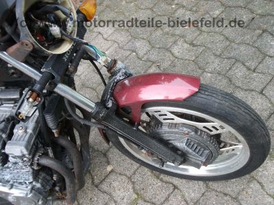 Honda_CBX550F_SEBRING_4in1_4_in_1_Auspuff_exhaust_Motor_Vergaser_gut_CBX_400_550_F_F2_37.jpg