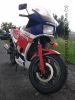 Honda_VF500F2_PC12_VF_400_500_700_750_VF400_VF500_VF700_VF750_F_F2_fast_neuer_Auspuff_69_.jpg