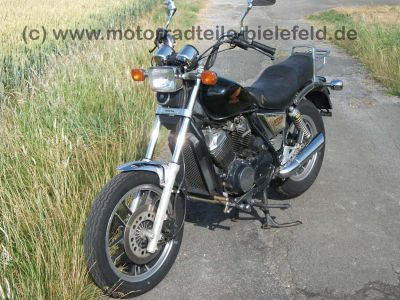Honda_VT_500C_Custom_Shadow_PC08_vorverlegte_Rasten_Fussrasten_Hecktraeger_VT_500_VT500_E_C_500E_VT500C_PC11_4.jpg