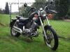 Yamaha_XV535_Virago_2YL_wie_XV_250_535_750_3BR_2.jpg