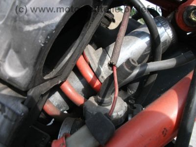 Honda_MTX_125R_JD05_Wrack_wie_CR_CRM_MTX_125_MTX125_R_MTX125R_65.jpg