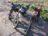 Suzuki_TS_50X_rot_nackt_wie_ZR_GT_RG_RM_ZR_TS_80_90_50_X_ZR50_GT80_TS80_TS90_RG80_RG90_1.jpg