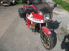 Honda_CB_900F2_Boldor_rotweiss_HuB_Hepco_Becker_Marving_4in1_wie_CB_750_900_F_F2_RC01_RC04_52.jpg