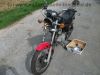 Suzuki_GN_250_schwarzrot_NJ42A_wie_GN_DR_125_250_400_GN125_GN250_GN400_4.jpg