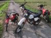 Honda_XL_185S_weissblau_Enduro_wie_L_125_185_250_K_S_125S_250S_125K_250K_XL185S_10.jpg