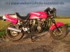 Kawasaki_GPX_600R_rot_und_blau_Gepaecktraeger_Heckumbau_wie_GPZ_GPX_ZZR_ZX_600_A_B_C_D_R_103.jpg