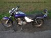Kawasaki_BN_125_A_Eliminator_wie_EL_BN_125_250_A_BN125A_10.jpg