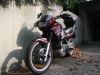 Kawasaki_KLE_500_A_weinrot_EZ_09_2000_wie_EX_GPZ_EN_450_500_A_500A_3.jpg