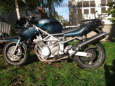 Yamaha_TRX_850_4UN_gruen_1999_Stahlflex_Gepaecktraeger_wie_XTZ_750_3LD_TDM_850_3VD_4TX_900_TRX850_1.jpg