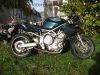 Yamaha_TRX_850_4UN_gruen_1999_Stahlflex_Gepaecktraeger_wie_XTZ_750_3LD_TDM_850_3VD_4TX_900_TRX850_82.jpg