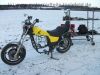 Honda_VF_750_C_Magna_RC09_gelb_wie_700_V45_C_F_S_RC07_RC15_RC21_1.jpg