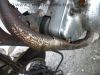 Filename=Suzuki_GN_250_NJ41A_Speiche_schwarz-rot_Crash_-_wie_DR_GN_GZ_125_250_400_S_E_D_SE_92.jpg
Filesize=182KiB
Dimensions=1440x1080
Date added=Jan 09, 2011 Suzuki_GN_250_NJ41A_Speiche_schwarz-rot_Crash_-_wie_DR_GN_GZ_125_250_400_S_E_D_SE_92.jpg