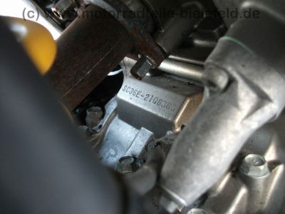 Honda_VTR_1000_F_Firestorm_SC36_BOS_Auspuff_alphatechnik_Racing_wie_SP_SP1_SP2__102.jpg
