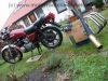 Kawasaki_KZ_750_E_rot_Neuteile_2x_4in1_Auspuff_motad_n-eta_BSM_-_wie_Z_KZ_GPz_650_750_B_C_E_GP_LTD_UT_11.jpg
