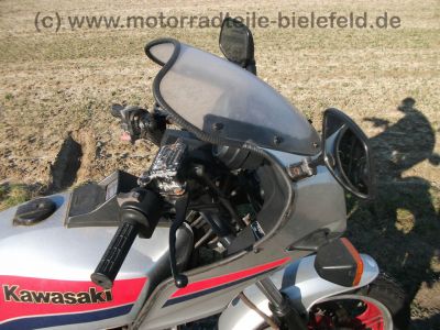 Kawasaki_GPz_550_UT_silber_ZX_550_A_BSM_Future_Auspuff_4_in_1_-_wie_KZ_ZX_Z_400_500_550_750_A_B_C_D_E_UT_GP_21.jpg