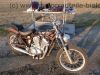 Suzuki_VS_750_Intruder_braun_VR51B_-_Motor_wie_VS_600_700_VX_800_VR_VP_51_VS_52_A_B_5.jpg