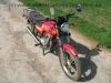 Honda_CB_125_T2_Twin_rot_SCHUH_Koffertraeger_-_wie_CB_CM_125_185_250_T_Twin_C_59.jpg